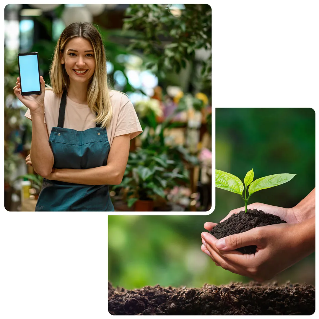 Affordable Landscaping