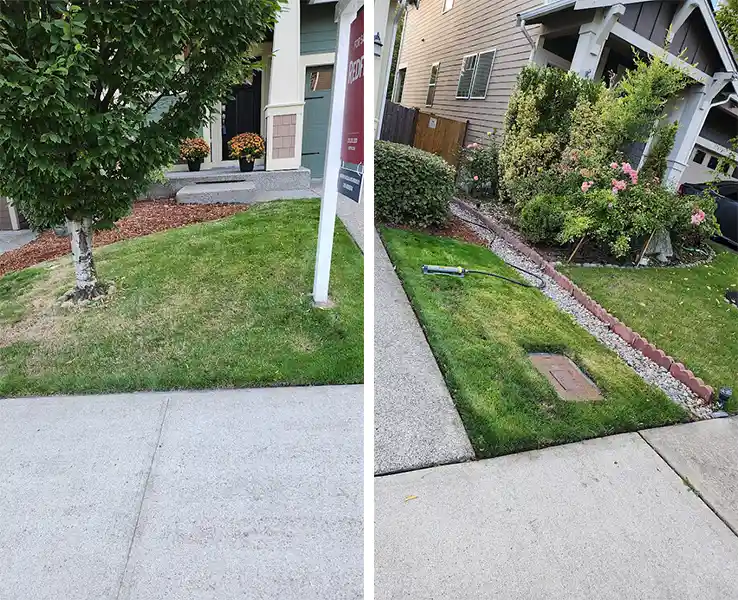 Effective Lawn Maintenance