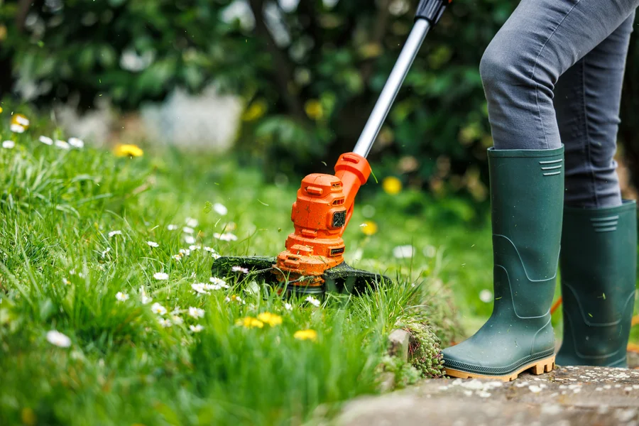 Excellent Lawn Care Services Federal Way, WA