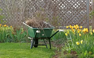 Soil Aeration and Fertilization After Spring Cleanup