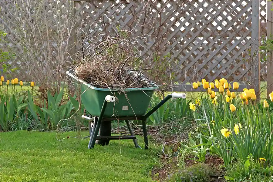 Excellent Spring Cleanup Service in Federal Way, WA Excellent Spring Cleanup Service in Federal Way, WA