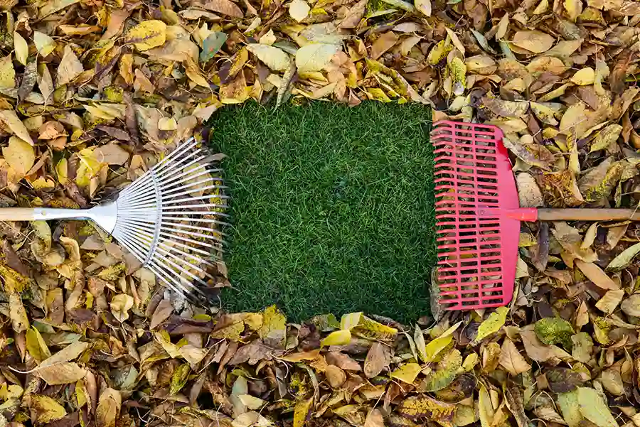 Experienced Fall Cleanup Service in Federal Way, WA Experienced Fall Cleanup Service in Federal Way, WA