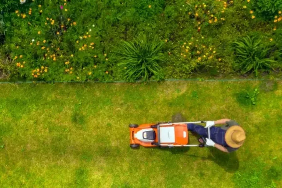 Experienced Lawn Maintenance Federal Way, WA