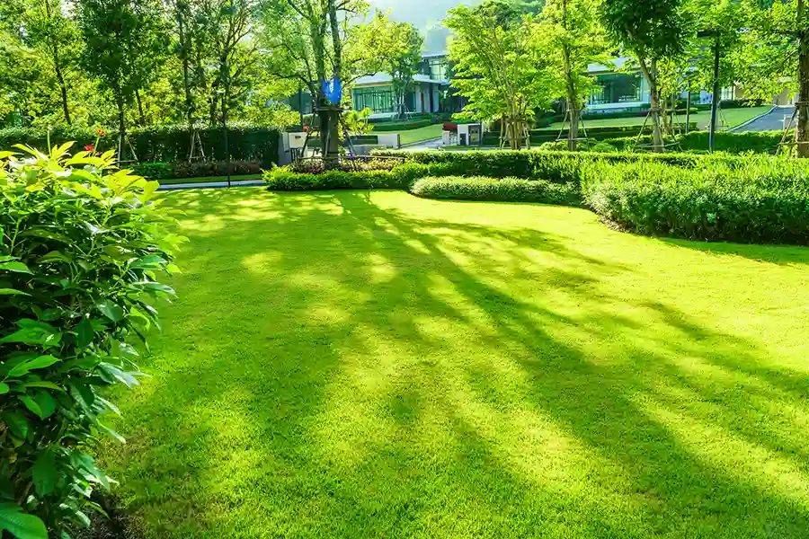 Experienced Spring Cleanup Service in Federal Way, WA Experienced Spring Cleanup Service in Federal Way, WA