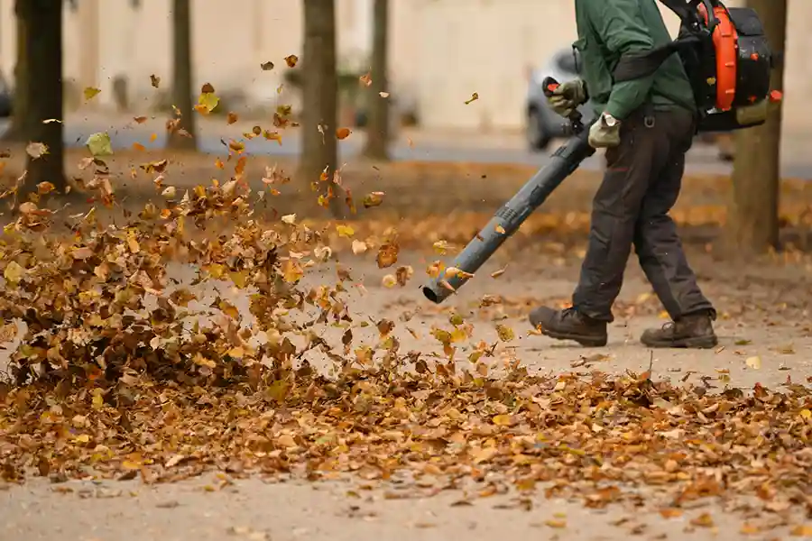 Fall Leaf Cleanup Planning for Landscapes Federal Way, WA Fall Leaf Cleanup Planning for Landscapes Federal Way, WA