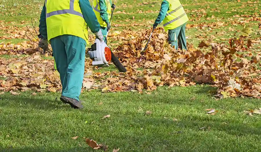 Fall Leaf Cleanup Planning for Landscapes in Federal Way, WA Fall Leaf Cleanup Planning for Landscapes in Federal Way, WA