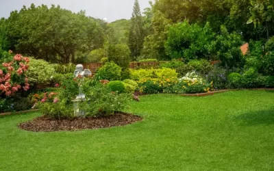 How Lawn Maintenance Keeps Your Yard Looking Fresh