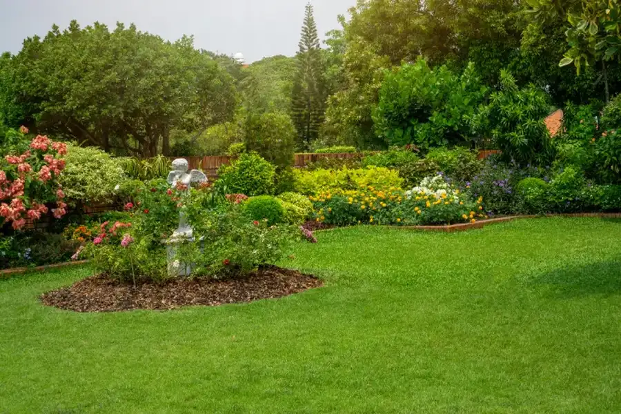How Lawn Maintenance Keeps Your Yard Looking Fresh in Federal Way, WA