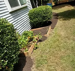 Why Regular Lawn Care Is Essential for a Lush Green Lawn