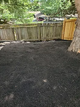Landscape Maintenance