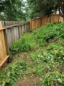 Landscape Maintenance