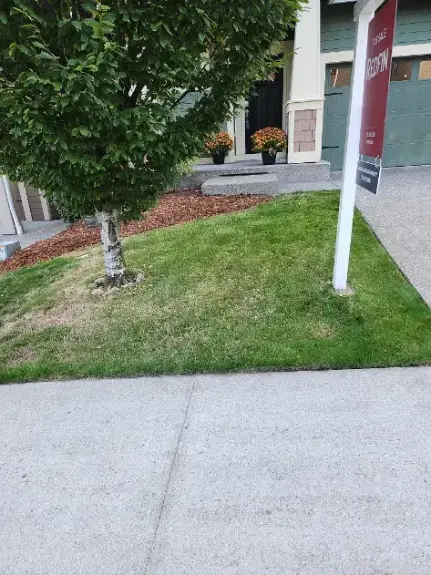 Expert Landscaper