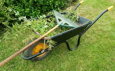 Pruning and Shaping Guide for Spring Cleanup