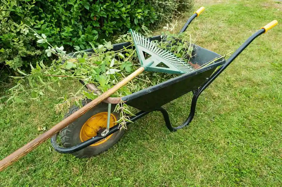 Pruning and Shaping Guide for Spring Cleanup Federal Way, WA Pruning and Shaping Guide for Spring Cleanup Federal Way, WA