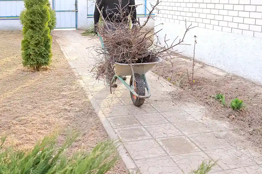 Pruning and Shaping Guide for Spring Cleanup in Federal Way, WA Pruning and Shaping Guide for Spring Cleanup in Federal Way, WA
