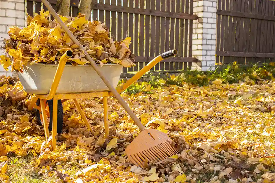 Reliable Fall Cleanup Service in Federal Way, WA Reliable Fall Cleanup Service in Federal Way, WA