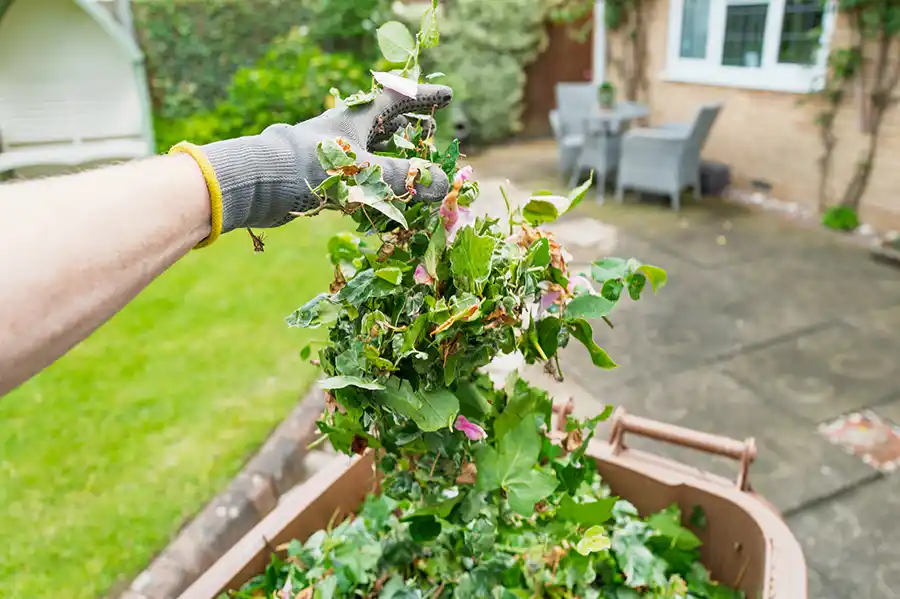 Reliable Spring Cleanup Service in Federal Way, WA Reliable Spring Cleanup Service in Federal Way, WA