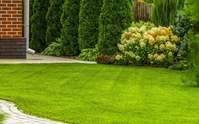 Sod Installation for Better Lawn Drainage