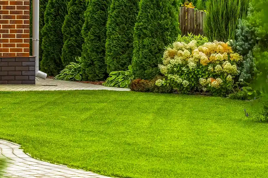 Reputable Lawn Care Services Federal Way, WA