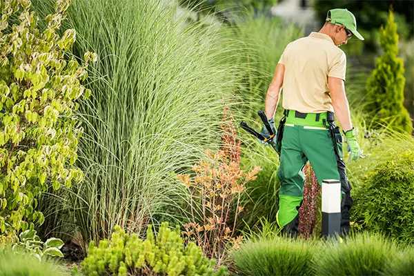 Skilled Landscaper