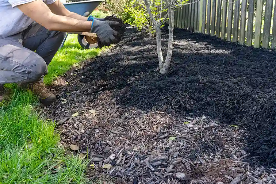 Soil Aeration and Fertilization After Spring Cleanup Federal Way, WA Soil Aeration and Fertilization After Spring Cleanup Federal Way, WA