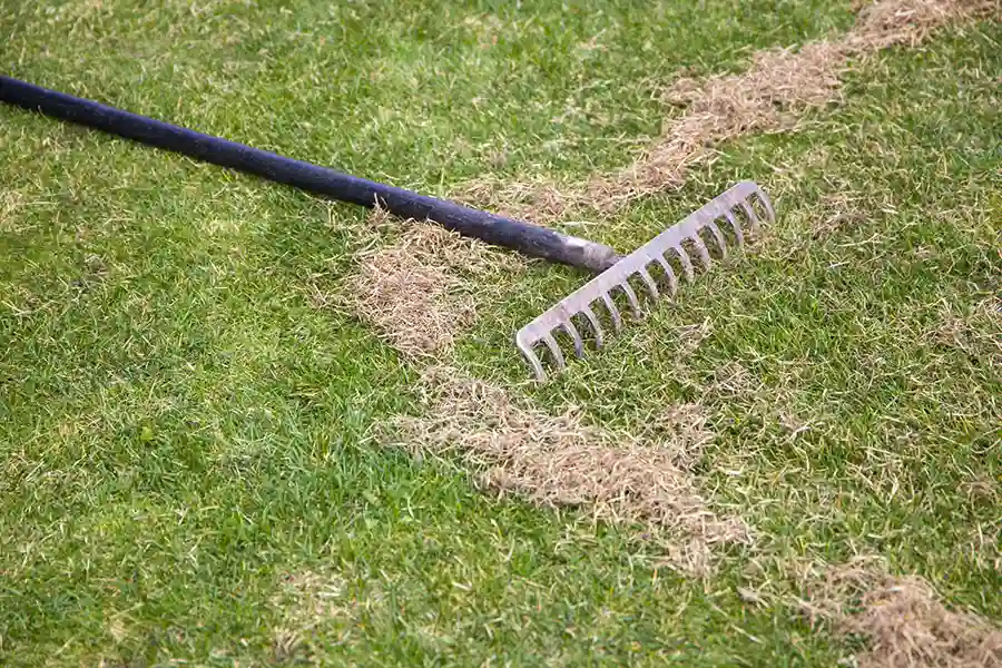 Soil Aeration and Fertilization After Spring Cleanup in Federal Way, WA Soil Aeration and Fertilization After Spring Cleanup in Federal Way, WA