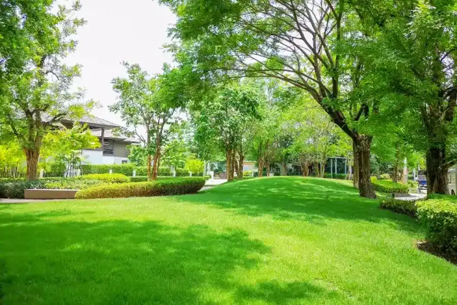 Tips For Effective Lawn Maintenance In Different Climates Federal Way, WA