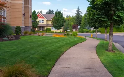 Tips for Effective Lawn Maintenance in Different Climates