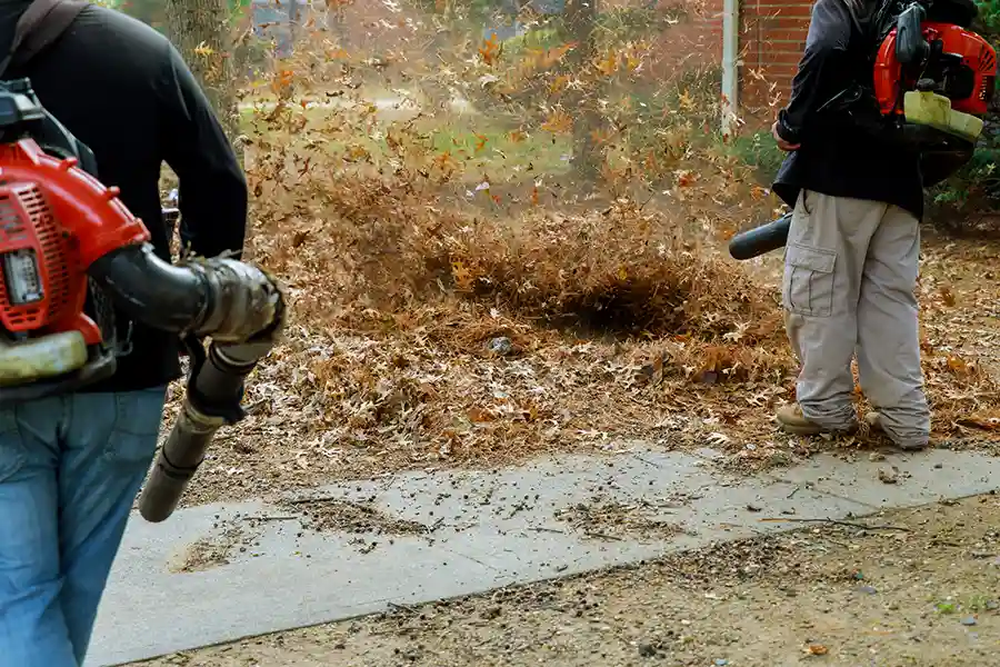 Tree Care Safety for Fall Cleanup Federal Way, WA Tree Care Safety for Fall Cleanup Federal Way, WA