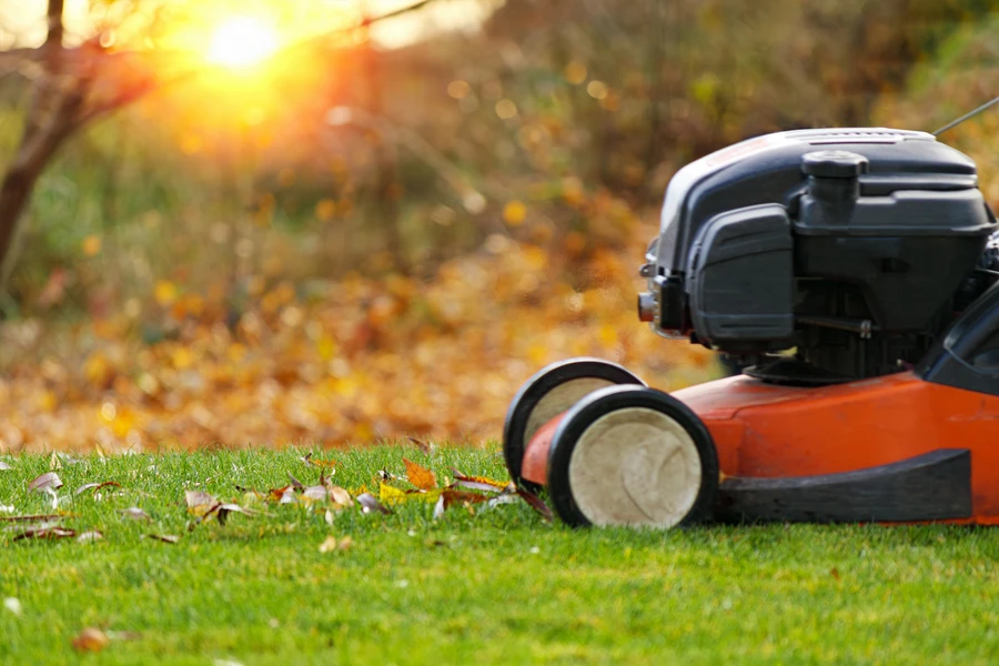 What To Expect From Professional Lawn Care Services in Federal Way, WA