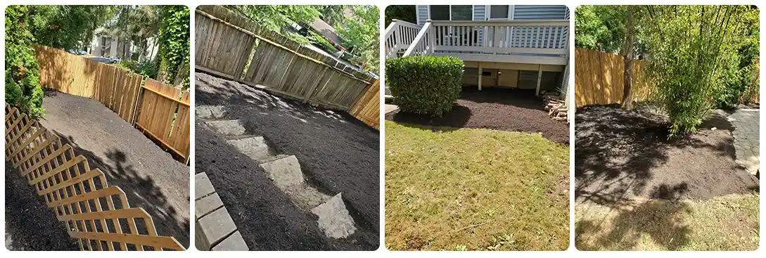 Trusted landscaping company in Federal Way, WA Trusted landscaping company in Federal Way, WA